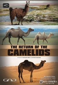 骆驼一族的回归 The Return Of The Camelids的海报