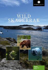 野性北欧海峡 Wild Skagerrak的海报