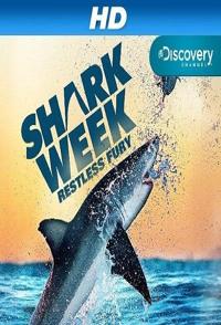 探秘鲨鱼海滩 Sharkbite Beach的海报