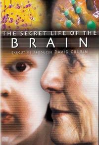 有脑有生命 The Secret Life of the Brain的海报