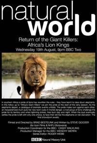大型杀手归来 Return Of The Giant Killers - Africa's Lion Kings的海报