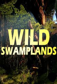 沼泽生态志 Wild Swamplands的海报