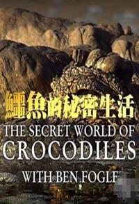 鳄鱼的秘密生活 The Secret Life of Crocodiles With Ben Fogle的海报