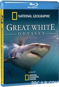 大白鲨的长途冒险旅程 Great White Odyssey的海报