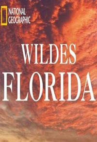 野性佛罗里达 Wild Flordia的海报