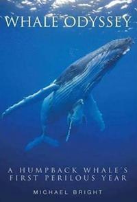 小蓝鲸历险记 Blue Whale Odyssey的海报