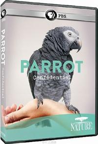 解密鹦鹉 Parrot Confidential的海报