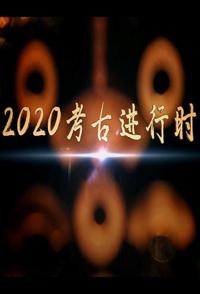 2020考古进行时 2020考古进行时的海报