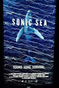 噪声海洋 Sonic Sea的海报