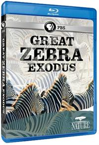 斑马大撤退 Great Zebra Exodus的海报