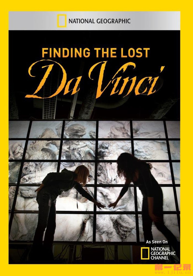 寻找达芬奇遗失的杰作 finding the lost Da Vinci的海报