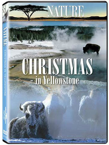 黄石的圣诞 PBS Nature Christmas in Yellowstone的海报
