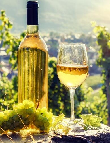 葡萄酒之旅：香槟&阿尔萨斯 Wineroads: Champagne & Alsace的海报