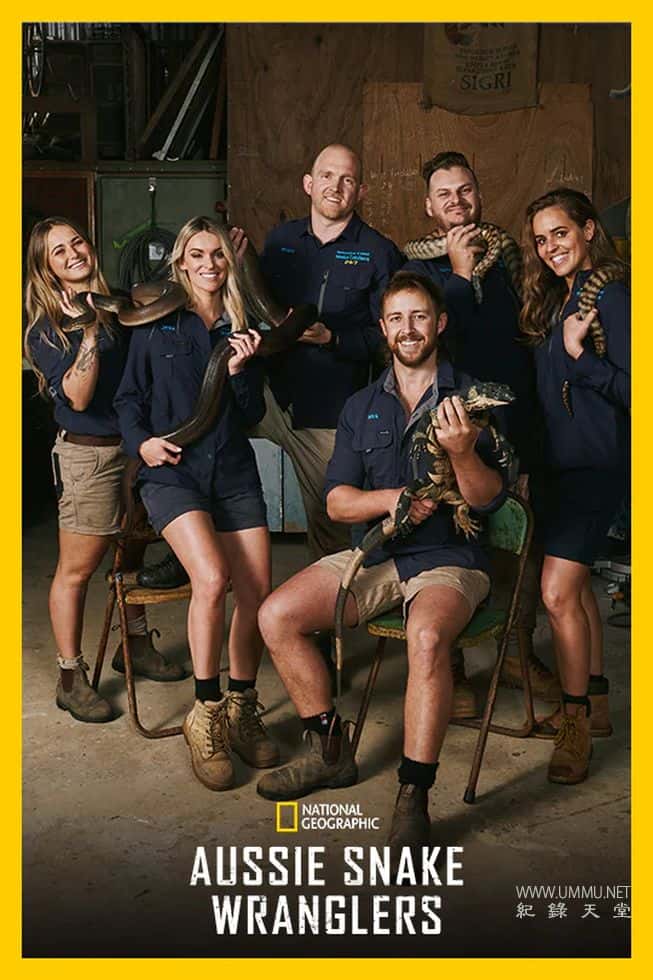 澳大利亚捕蛇人 第1-2季全28集 Aussie Snake Wranglers的海报
