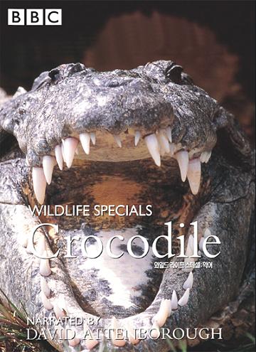 鳄鱼 Crocodile的海报