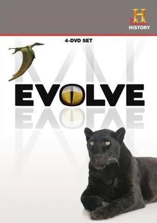 进化 Evolve的海报