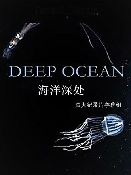 海洋深处 Deep Ocean的海报