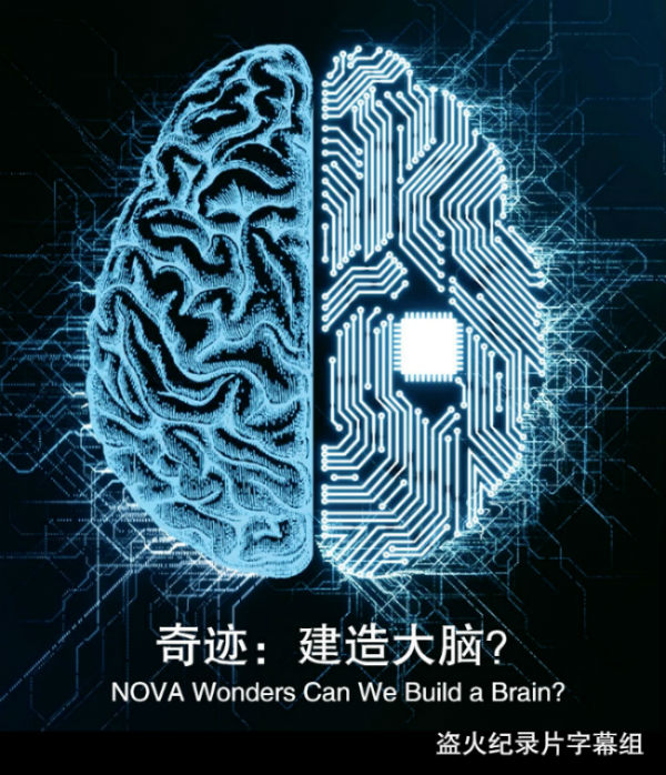 奇迹：建造大脑？ NOVA Wonders Can We Build a Brain?的海报