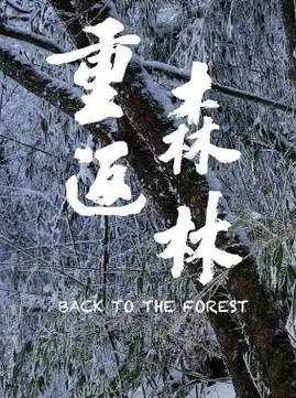 重返森林 Back to the Forest的海报