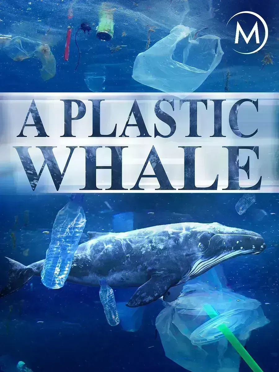 塑料鲸鱼 A Plastic Whale的海报