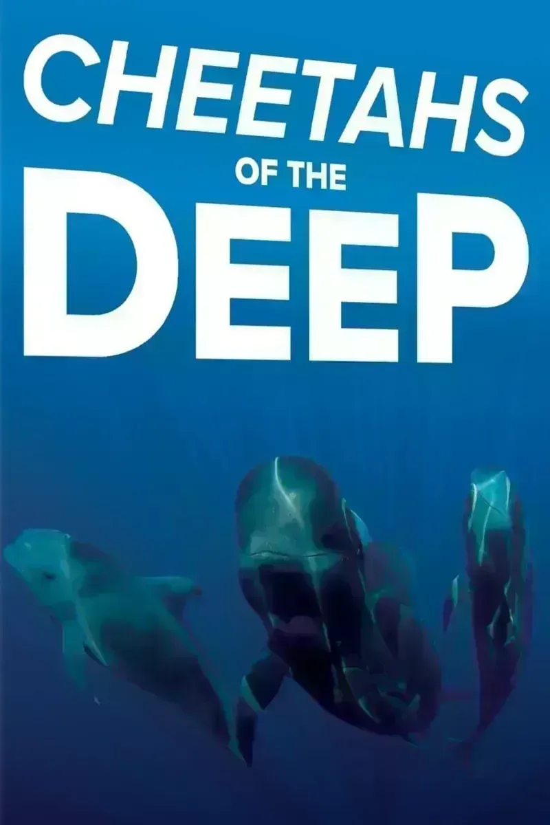 深海猎豹 Cheetahs of the Deep的海报