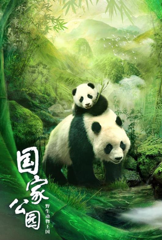 国家公园：野生动物王国的海报