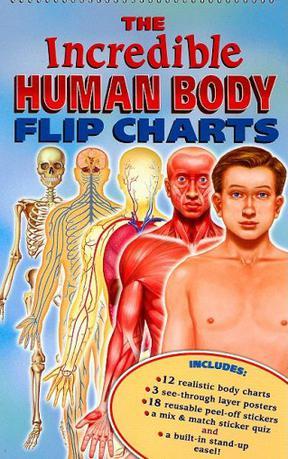 解剖非凡人类 Dissected The Incredible Human的海报