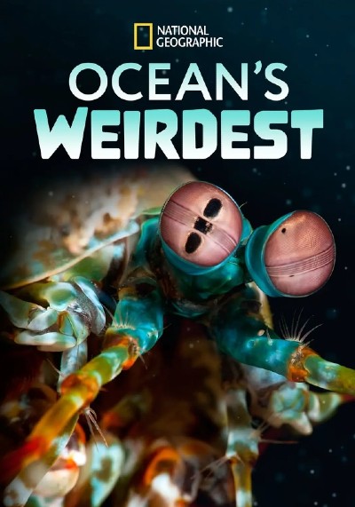 海洋异物志 Ocean's Weirdest的海报