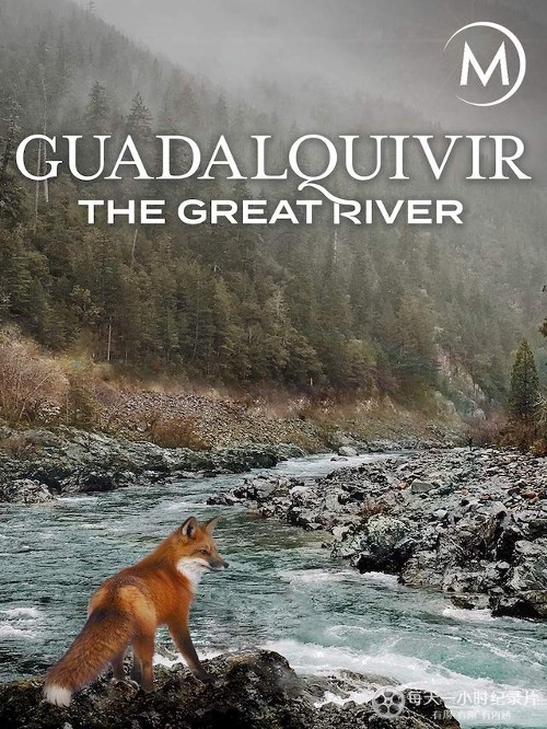 欧洲野生动物天堂 Guadalquivir: The Great River的海报