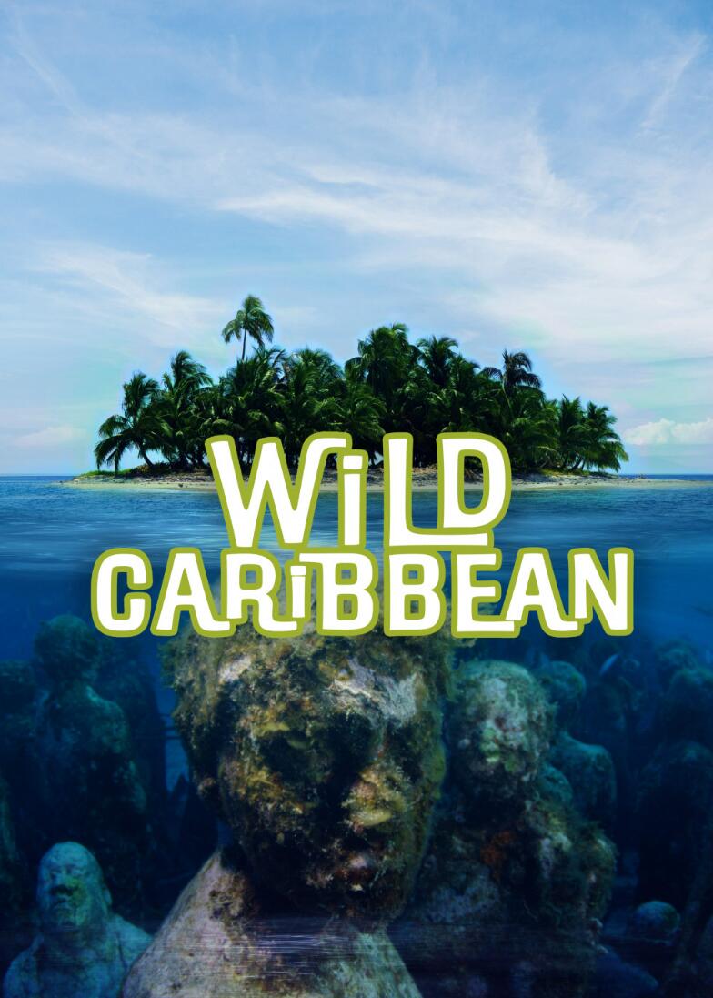 野生加勒比 Wild Caribbean - Rhythms of Life的海报