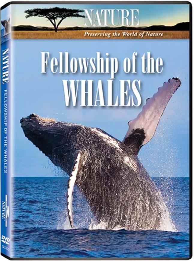 鲸之友谊 Fellowship of the Whales的海报
