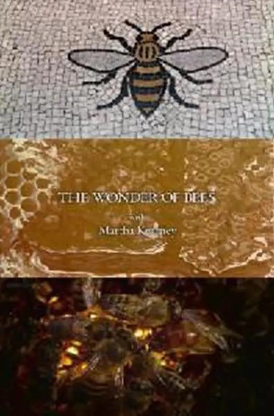 玛莎·卡妮领略神奇的蜜蜂 The Wonder of Bees with Martha Kearney的海报