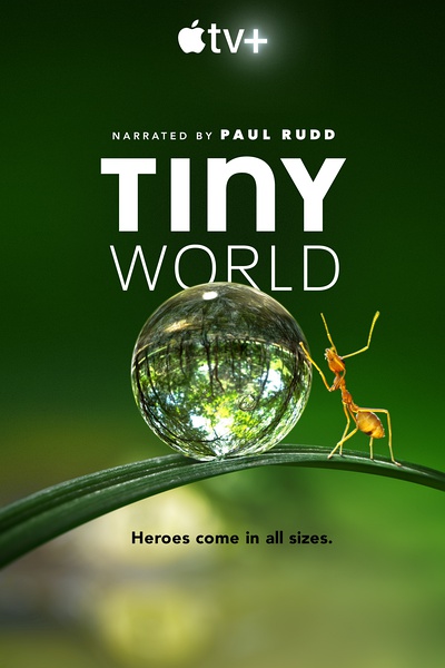 小小世界 第1-2季 Tiny World Season 1-2的海报