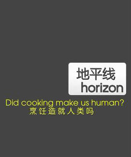 烹饪造就人类吗 Did Cooking Make Us Human的海报