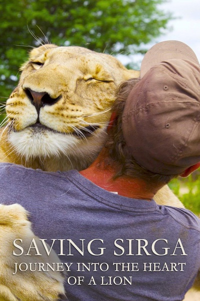 拯救希尔加:走进狮子内心的旅程 Saving Sirga的海报