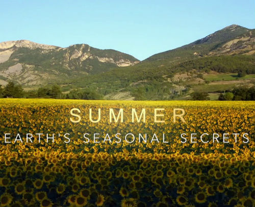 夏季——四季的秘密 Summer Earth's seasional Secrets的海报