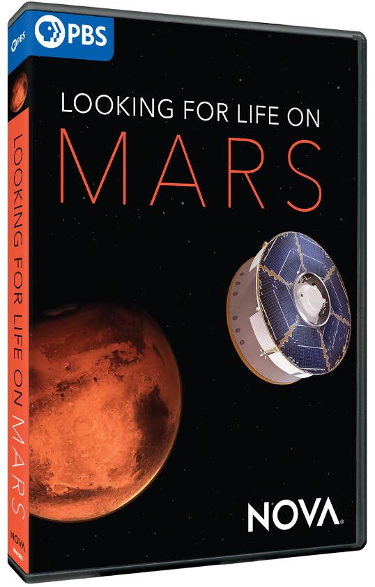 寻找火星生命 Looking For Life on Mars的海报