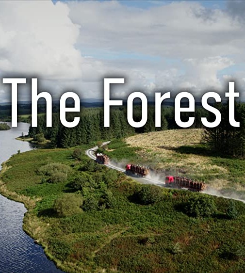 森林 The Forest / 森林隐秘世界的海报
