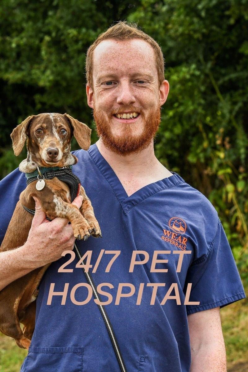 24小时宠物医院 24/7 Pet Hospital 2023的海报