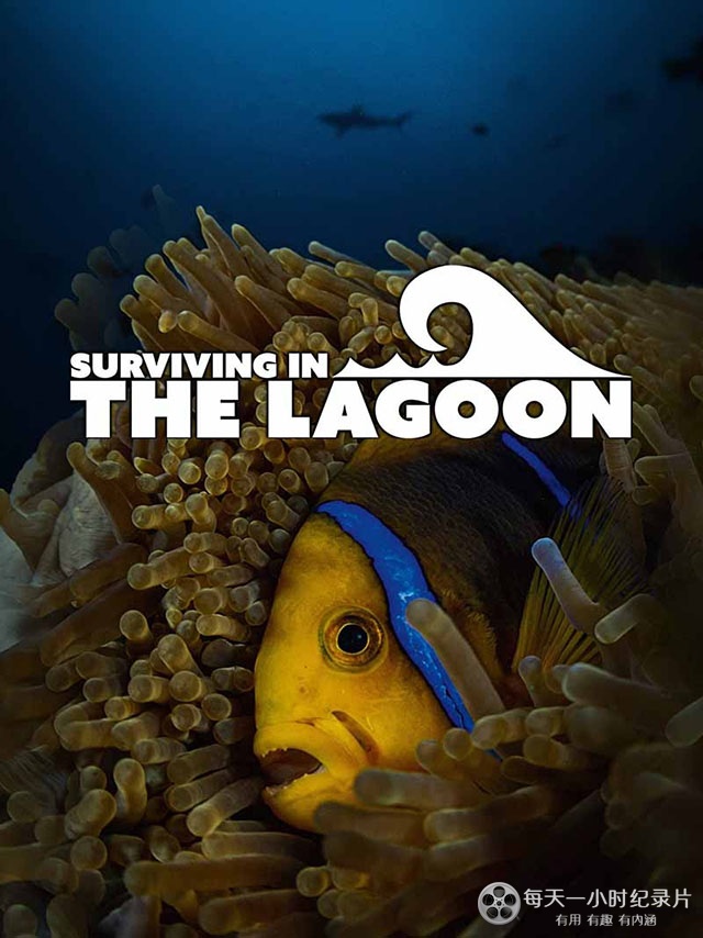 潟湖生命之旅 Surviving in the Lagoon的海报
