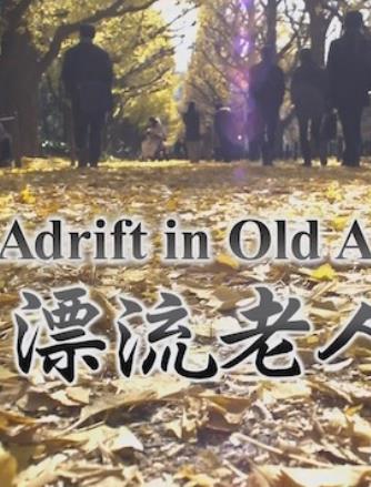 漂流老人 Adrift in Old Age的海报