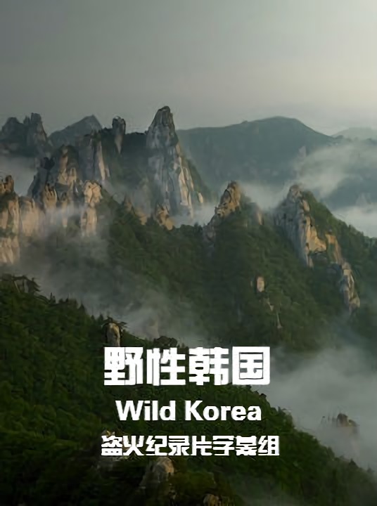 野性韩国 Wild Korea的海报
