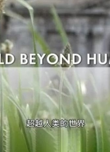 超越人类的世界 A World Beyond Humans的海报