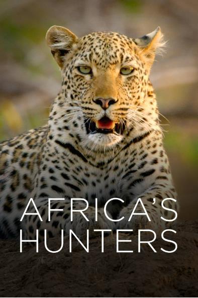 非洲猎手 Africa’s Hunters的海报