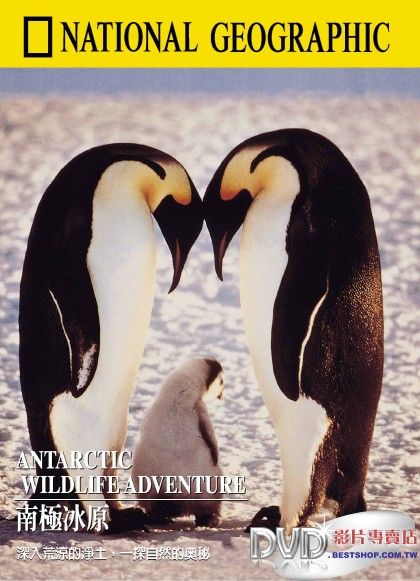 南极冰原 Antarctic Wildlife Adventure的海报