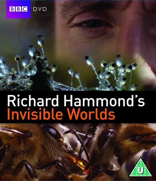 看不见的世界 Richard Hammond's Invisible Worlds的海报