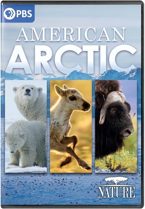 美国北极 American Arctic的海报