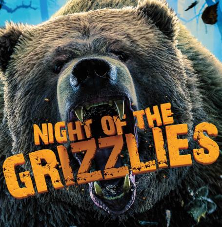 荒野远征：灰熊之夜+巨狼+美国吸血蝙蝠  America The Wild: Night of The Grizzly的海报