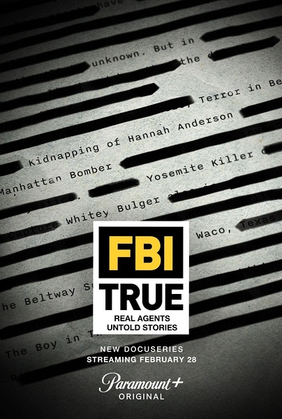 联邦实案 第二季 全10集 FBI True Season 2的海报