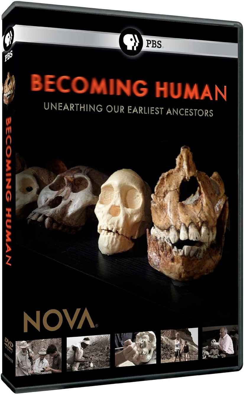 人类进化 Becoming Human的海报